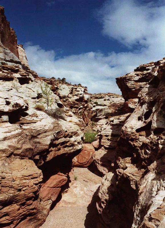 04160302LittleWildHorse (1016)